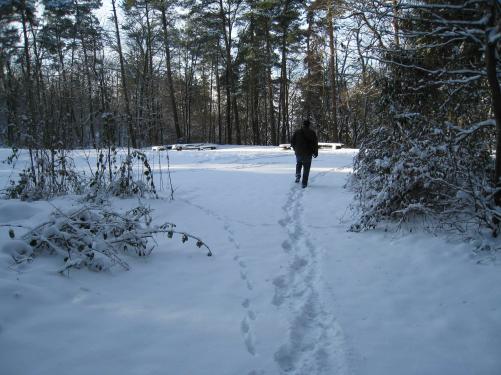 Ein sch&ouml;ner Grillplatz